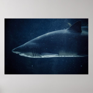 SCHWARZER UND WEISSER SCHWARZ UNTER DEM WASSER POSTER