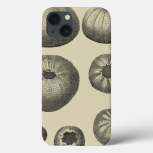 Schwarzer und Weißer Seeteufel Case-Mate iPhone Hülle