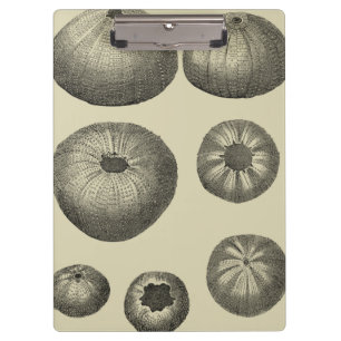 Schwarzer und Weißer Seeteufel Klemmbrett