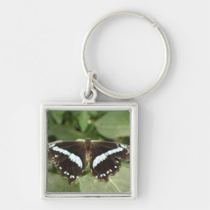 Schwarzer und weißer tropischer Schmetterling-Schl Schlüsselanhänger