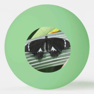 Schwarzer und weißer tropischer Schmetterling Tischtennisball