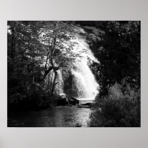 Schwarzer und weißer Wasserfall durch die Bäume 16 Poster