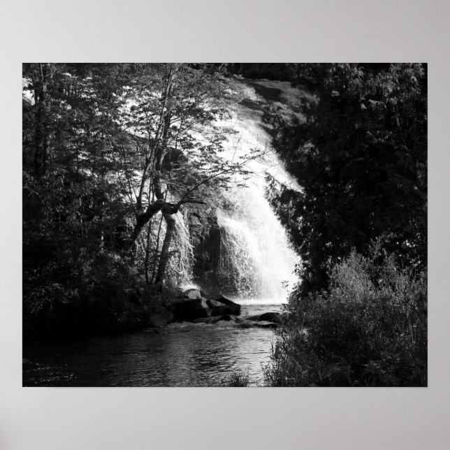 Schwarzer und weißer Wasserfall durch die Bäume 16 Poster (Vorne)