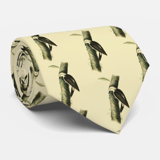 Schwarzer und Weißspecht Krawatte (Gerollt)
