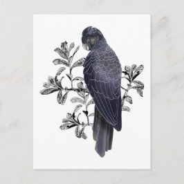 Schwarzer Vogel Australischer Ureinwohner Black Co Postkarte