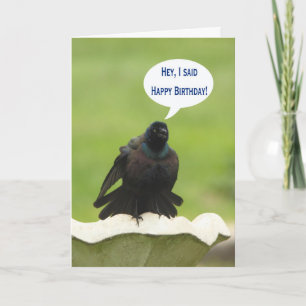 Schwarzer Vogel schreiendes alles Gute zum Karte