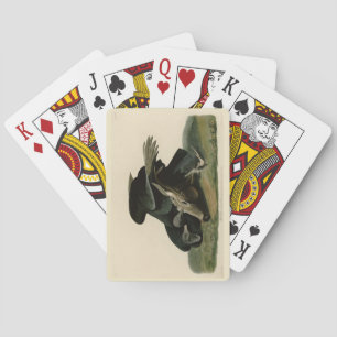 Schwarzer Vulture von Audubons Vögeln in Amerika Spielkarten