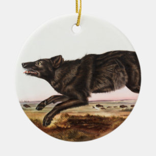 Schwarzer Wolf (Canis lupus) Illustration Keramik Ornament