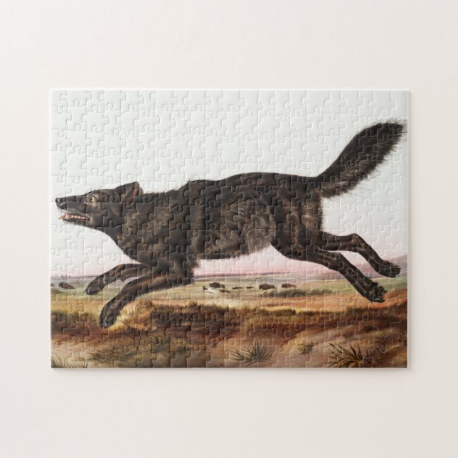 Schwarzer Wolf (Canis lupus) Illustration Puzzle (Horizontal)