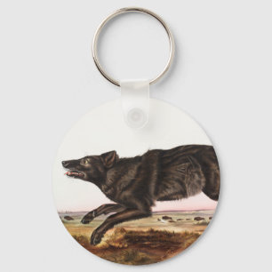 Schwarzer Wolf (Canis lupus) Illustration Schlüsselanhänger