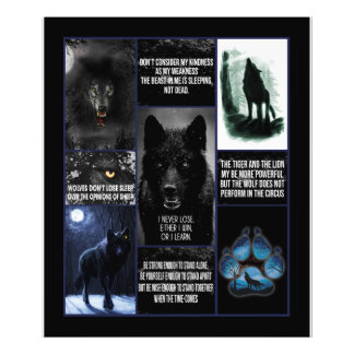 Schwarzer Wolf ich nie verlieren Fotodruck