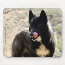 Schwarzer Wolf Mousepad