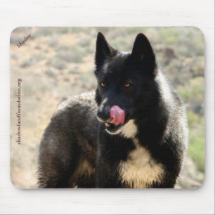 Schwarzer Wolf Mousepad