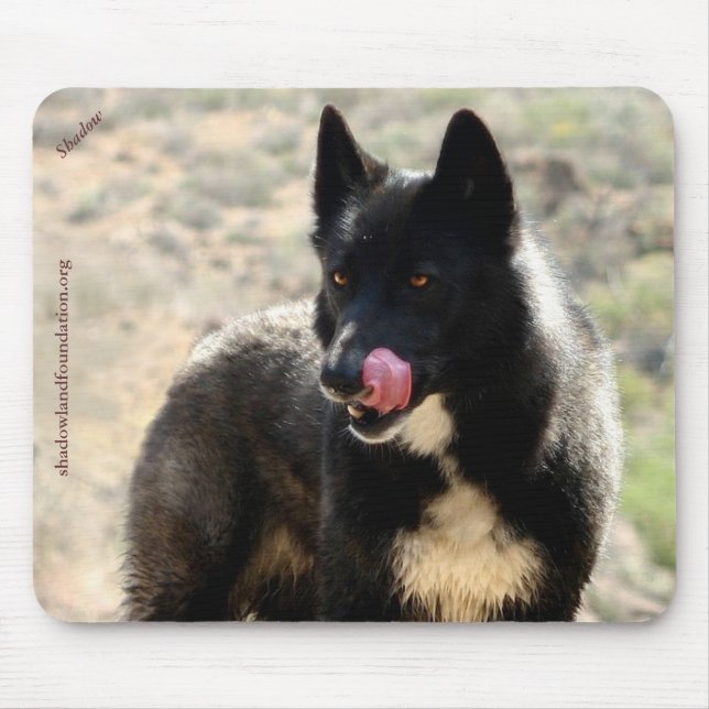 Schwarzer Wolf Mousepad (Vorne)