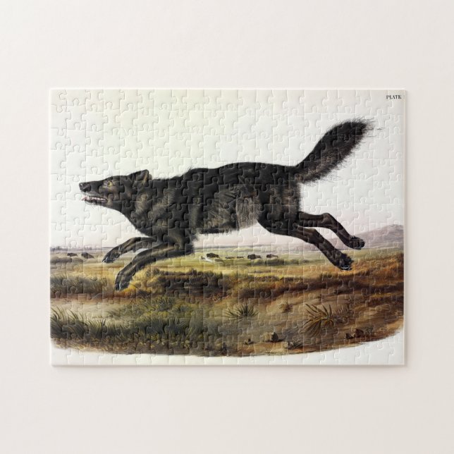 Schwarzer Wolf oder Schwarzer Amerikanischer Wolf  Puzzle (Horizontal)