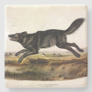 Schwarzer Wolf oder Schwarzer Amerikanischer Wolf Steinuntersetzer