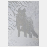Schwarzer Wolf