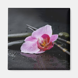 Schwarzer Zen-Orchid Magnet