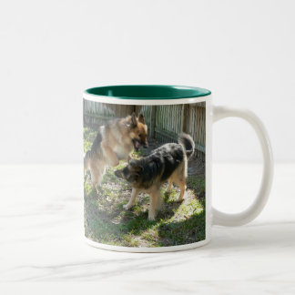 Schwarzes 11 Unze Zwei-Ton Tassen-Hundespiel Zweifarbige Tasse