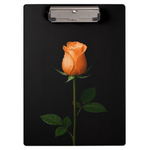 Schwarzes 4 Luxe-Clipboard, Sunset Orange Rose Klemmbrett