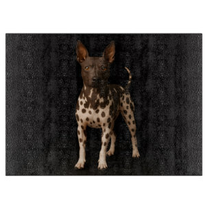 Schwarzes 4 Luxe Glas Schneidbrett Hairless Terrie Schneidebrett