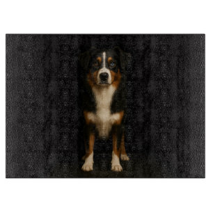 Schwarzes 4 Luxe Glass Board Aussie Shepherd Schneidebrett