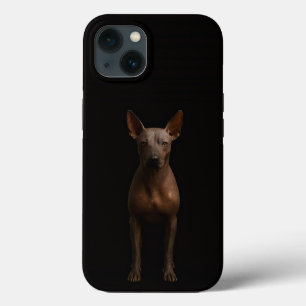 Schwarzes 4 Luxe iPhone 13, argentinischer Pila-Hu Case-Mate iPhone Hülle