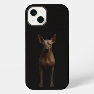 Schwarzes 4 Luxe iPhone 13, argentinischer Pila-Hu 13 Hülle