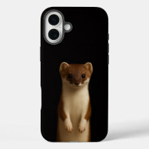Schwarzes 4 Luxe iPhone 16 Plus, Elegantes Wiesel