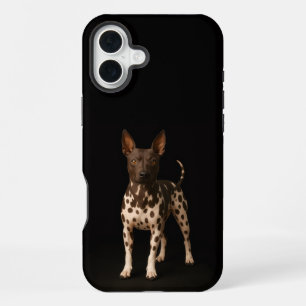 Schwarzes 4 Luxe iPhone 16 Plus, haarloser Terrier Plus Hülle