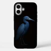 Schwarzes 4 Luxe iPhone 16 Plus, Kleiner Blauer Re