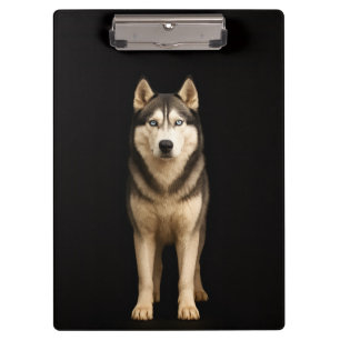 Schwarzes 4 Luxe Klemmbrett, Icy Elite Husky Klemmbrett