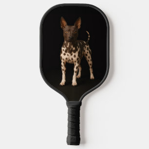 Schwarzes 4 Luxe Pickleball-Paddle, Haarloser Terr Pickleball Schläger