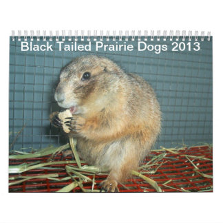 Schwarzes angebundene Präriehunde - Kalender 2013