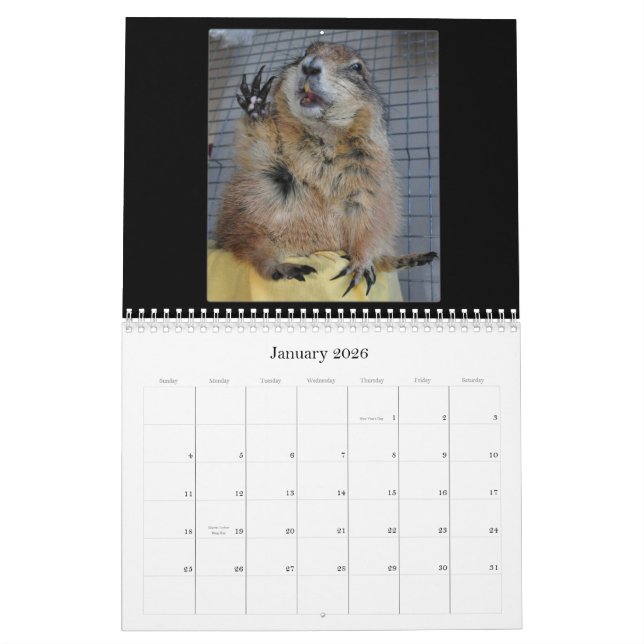 Schwarzes angebundene Präriehunde - Kalender 2013 (Jan 2026)