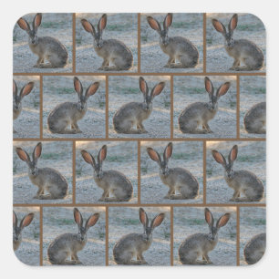 Schwarzes angebundener Hase Quadratischer Aufkleber