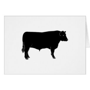 Schwarzes Angus Stier