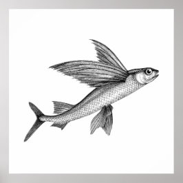 Schwarzes antikes Flying Fish Illustration Poster