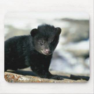 Schwarzes Bär-kleines Junges Mousepad