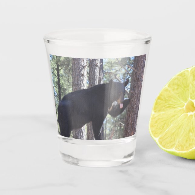 Schwarzes Bärenschuss Schnapsglas (Vorderseite)