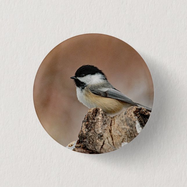 Schwarzes Capped Chickadee-Schnee-Foto Button (Vorderseite)