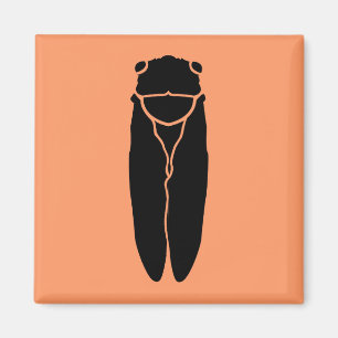 Schwarzes Cicada-Insekt Magnet