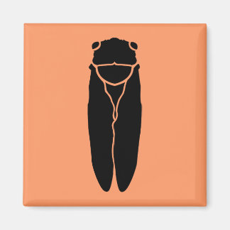 Schwarzes Cicada-Insekt Magnet