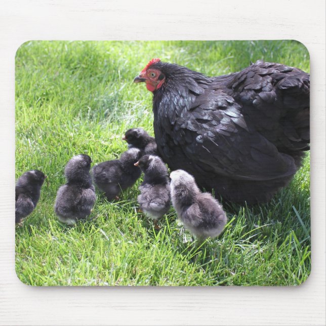 Schwarzes Cochin-Huhn mit Küken Mousepad (Vorne)