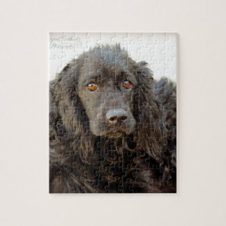 Schwarzes Cocker spaniel "Harley " Puzzle