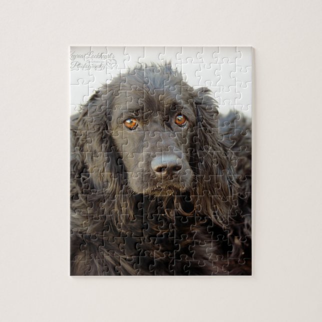 Schwarzes Cocker spaniel "Harley " Puzzle (Vertikal)