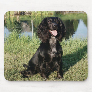Schwarzes Cocker spaniel-Hündchen Mousepad