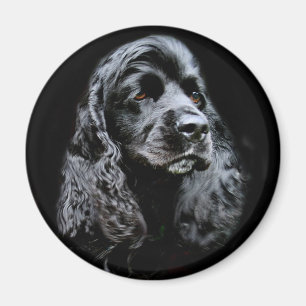 Schwarzes Cocker spaniel Magnet