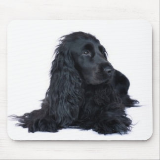 Schwarzes Cocker spaniel Mousepad