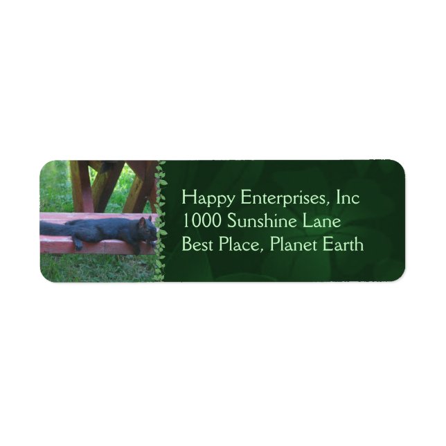 Schwarzes Eichhörnchen (Vorne)